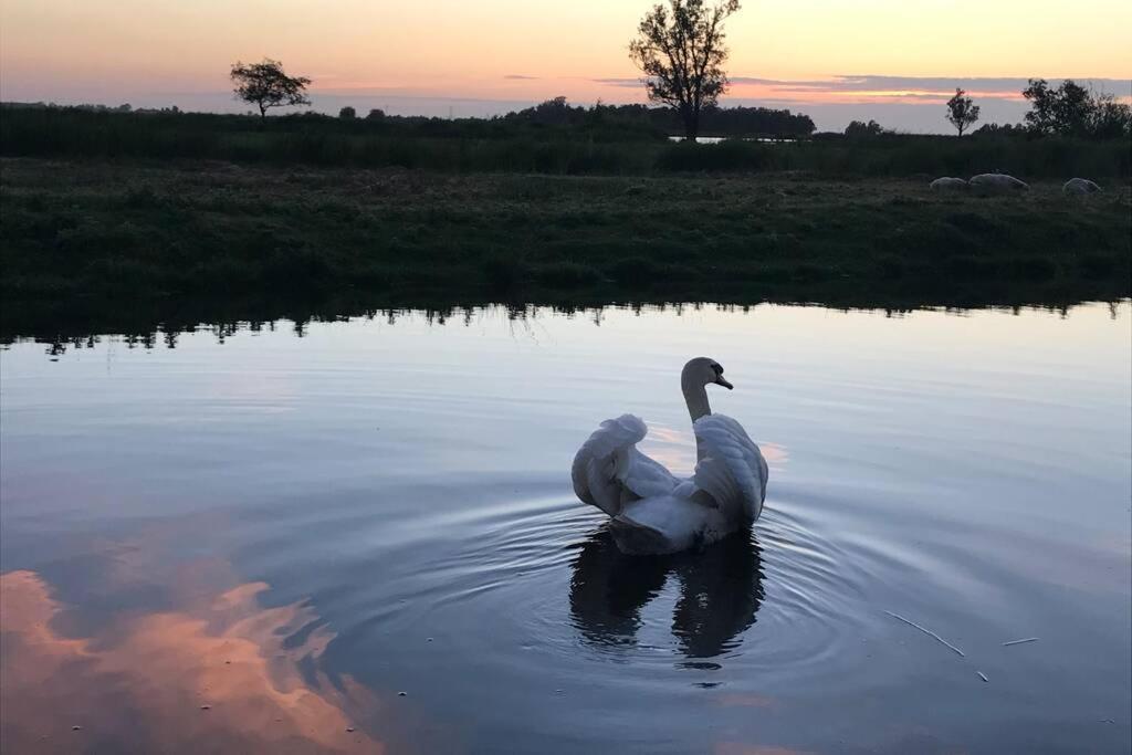 Romantic Dutch Hideaway Jisp Экстерьер фото